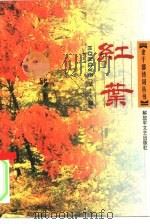 红叶  第19辑   1999  PDF电子版封面  9·5033·10  红叶诗社编 