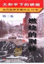 大和平下的硝烟  当代世界军事风云50年  第3卷  燃烧的荆棘  1960-1969（1997 PDF版）