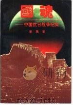 国魂  中国抗日战争纪实（1995 PDF版）