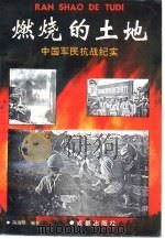 烧燃的土地-中国军民抗战纪实（1995 PDF版）