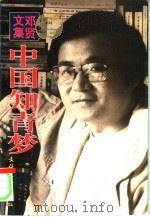 邓贤文集  第3卷  中国知青梦（1997 PDF版）