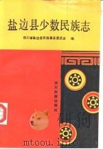 盐边县少数民族志（1994 PDF版）