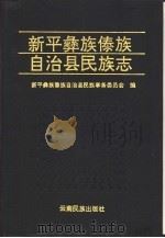 新平彝族傣族自治县民族志（1992 PDF版）