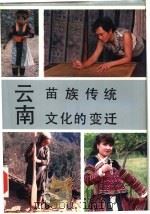 云南苗族传统文化的变迁   1993  PDF电子版封面  7222013261  颜恩泉主编 