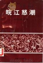 皖江怒潮（1992 PDF版）