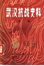 武汉抗战史料  选编     PDF电子版封面    李泽主编；徐明庭，翟学超副主编 