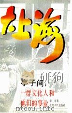 大上海  亭子间：一群文化人和他们的事业   1991  PDF电子版封面  720801244X  姚秉楠，施宣圆，周振鹤主编 