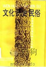 文化历史民俗  中国西南边疆民族文化论集（1993 PDF版）
