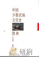 中国少数民族文化史图典  第8卷  东南卷   1999  PDF电子版封面  7543528576  王永强等主编 