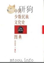 中国少数民族文化史图典  第6卷  西南卷  上   1999  PDF电子版封面  7543528525  王永强等主编 