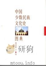 中国少数民族文化史图典  第5卷  西北卷  下   1999  PDF电子版封面  7543528517  王永强等主编 