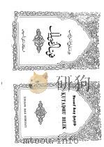 《福乐智慧》开罗抄本  阿拉伯文     PDF电子版封面     