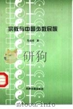 宗教与中国少数民族   1993  PDF电子版封面  7805041474  马启成著 