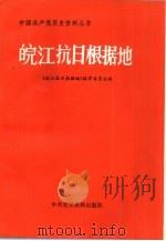 皖江抗日根据地（1990 PDF版）