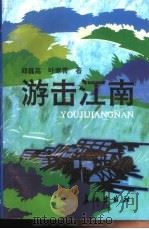 游击江南（1993 PDF版）