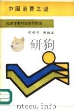 中国消费之谜   1989  PDF电子版封面  7800161358  何明升，唐魁玉著 