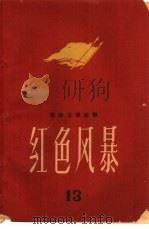 红色风暴  江西革命斗争故事  第13集   1962  PDF电子版封面     