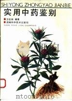 实用中药鉴别   1994  PDF电子版封面  753571238X  方石林编著 