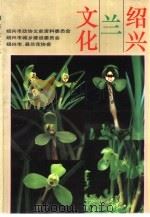 绍兴兰文化（1993 PDF版）