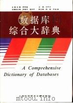 数据库综合大辞典（1995 PDF版）