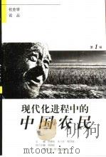 现代化进程中的中国农民（1998 PDF版）
