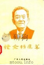 怀念杨康华（1994 PDF版）