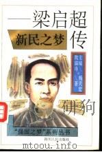 新民之梦  梁启超传   1995  PDF电子版封面  7220028628  杨天宏著 
