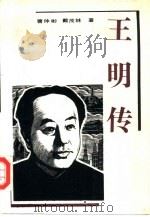 王明传（1991 PDF版）