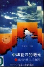 中华复兴的曙光  崛起的珠江三角洲   1994  PDF电子版封面  7531623994  肖君和主编 