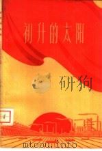 初升的太阳  北京市郊区九个人民公社调查报告（1960 PDF版）