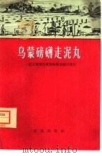乌蒙磅礴走泥丸  云南省宣威县松林公社巨变（1966 PDF版）