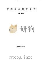 中国企业兼并全书（1995 PDF版）