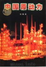 中国原动力   1998  PDF电子版封面  7533909887  胡振著 