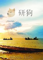 中国沿海地区21世纪持续发展 P1008     PDF电子版封面     