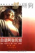 白话阿弥陀经   1998  PDF电子版封面  7806281304  魏琪注译；孙国中 