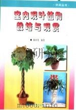 室内观叶植物栽培与观赏   1999  PDF电子版封面  7533512073  陈容茂编著 