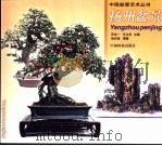 扬州盆景（1999 PDF版）