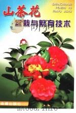山茶花盆栽与繁育技术   1999  PDF电子版封面  7508210425  刘英汉主编 