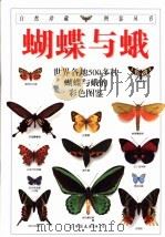 蝴蝶与蛾（1997 PDF版）