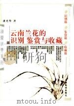 云南兰花的识别鉴赏与收藏（1994 PDF版）
