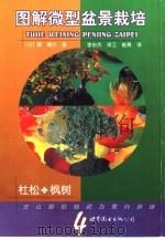 图解微型盆景栽培  4  杜松·枫树（1999 PDF版）