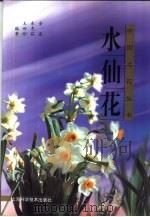 水仙花（1998 PDF版）