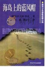 海岛上的蓝风帽   1999  PDF电子版封面  7535817289  （德）沃夫冈·埃克著；王路，周京宁译 