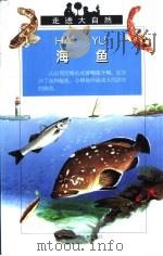 海鱼   1999  PDF电子版封面  7535320201  （法）路易丝著；李云龙译 