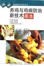 养鸡与鸡病防治新技术画本   1999  PDF电子版封面  7535726380  彭克勤主编；曲湘勇编著 