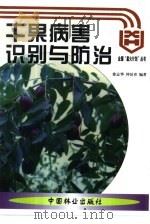 干果病害识别与防治   1999  PDF电子版封面  7503820527  徐志华，仲洁青编著 