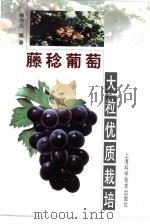 藤稔葡萄大粒优质栽培（1999 PDF版）