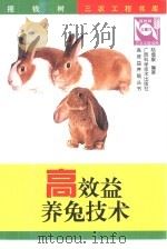 高效益养兔技术（1998 PDF版）