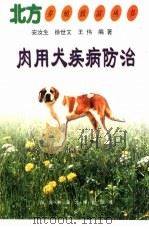 肉用犬疾病防治   1999  PDF电子版封面  7810089803  安汝生，徐世文等编著 