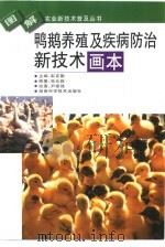 鸭鹅养殖及疾病防治新技术画本（1999 PDF版）
